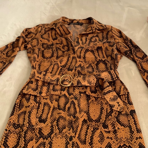 Very lovely rust colored python print dress by Zara. - Picture 1 of 5